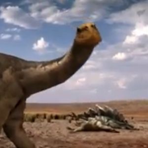 Meet your Posher, Cameron